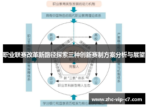 职业联赛改革新路径探索三种创新赛制方案分析与展望