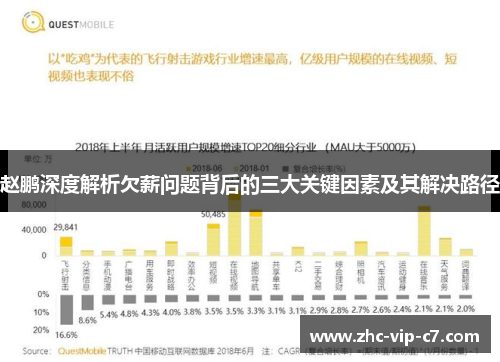 赵鹏深度解析欠薪问题背后的三大关键因素及其解决路径