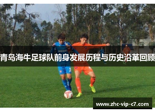 青岛海牛足球队前身发展历程与历史沿革回顾 青岛海牛足球队前身发展历程与历史沿革回顾