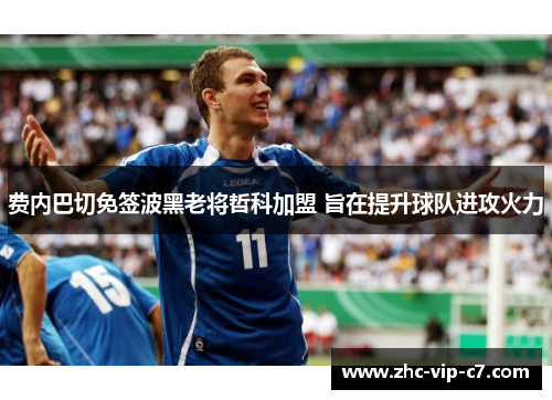 费内巴切免签波黑老将哲科加盟 旨在提升球队进攻火力 费内巴切免签波黑老将哲科加盟 旨在提升球队进攻火力