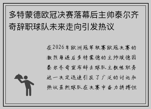 多特蒙德欧冠决赛落幕后主帅泰尔齐奇辞职球队未来走向引发热议