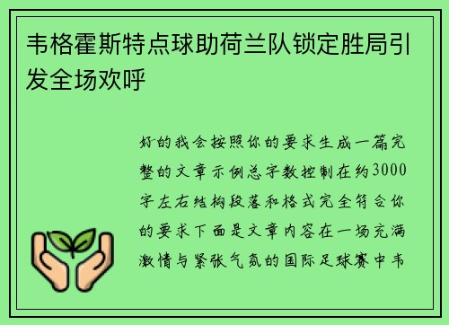 韦格霍斯特点球助荷兰队锁定胜局引发全场欢呼